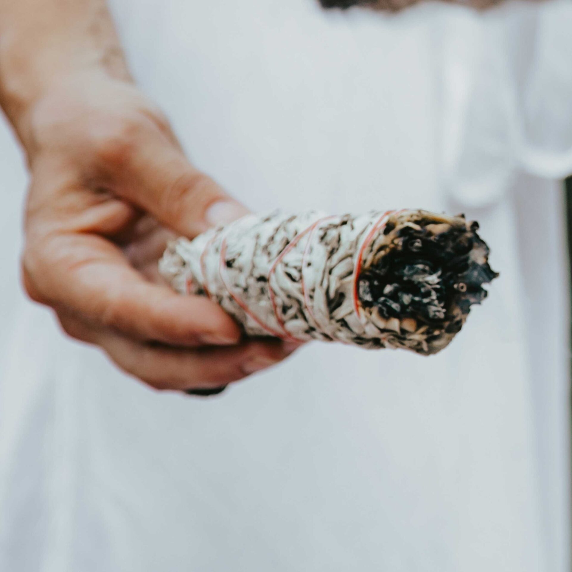 Divine-Light-Integration-Private 5MEO DMT Retreat Services with sage