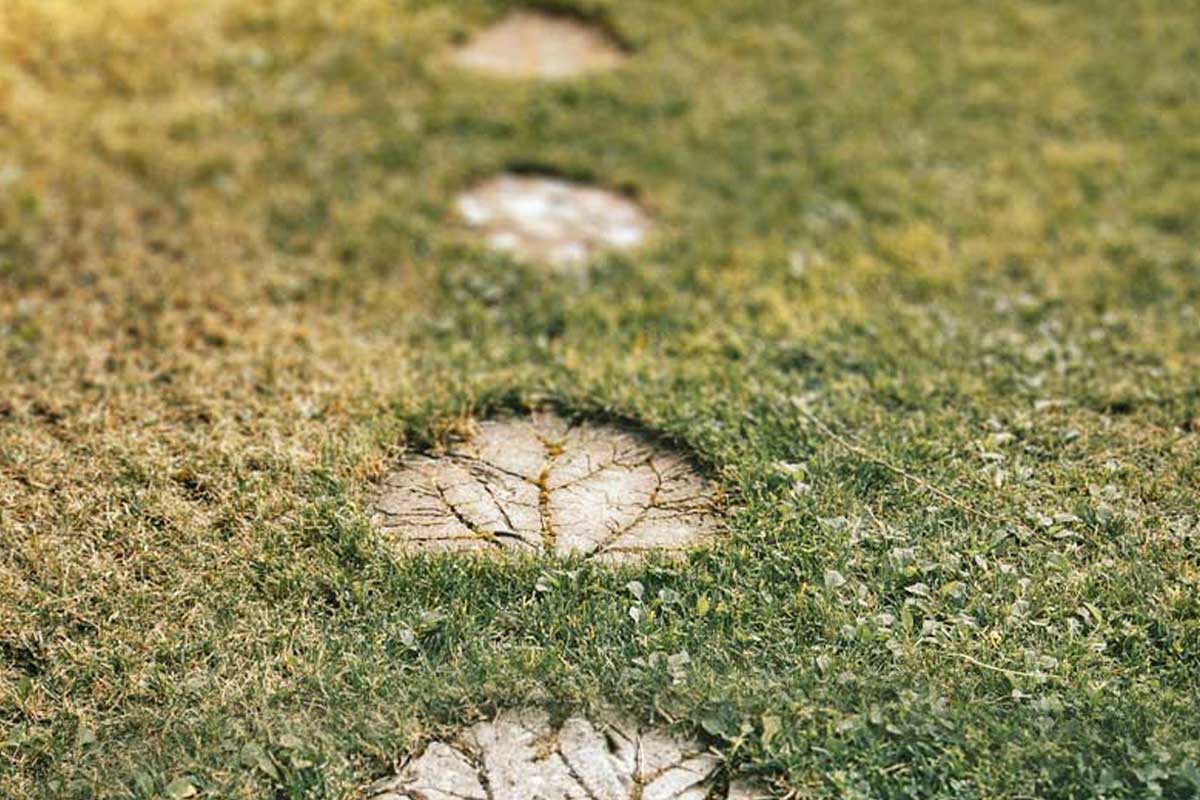 A winding path of natural stepping stones, representing the transformative steps in Divine Light's psychedelic preparation and integration retreat services.